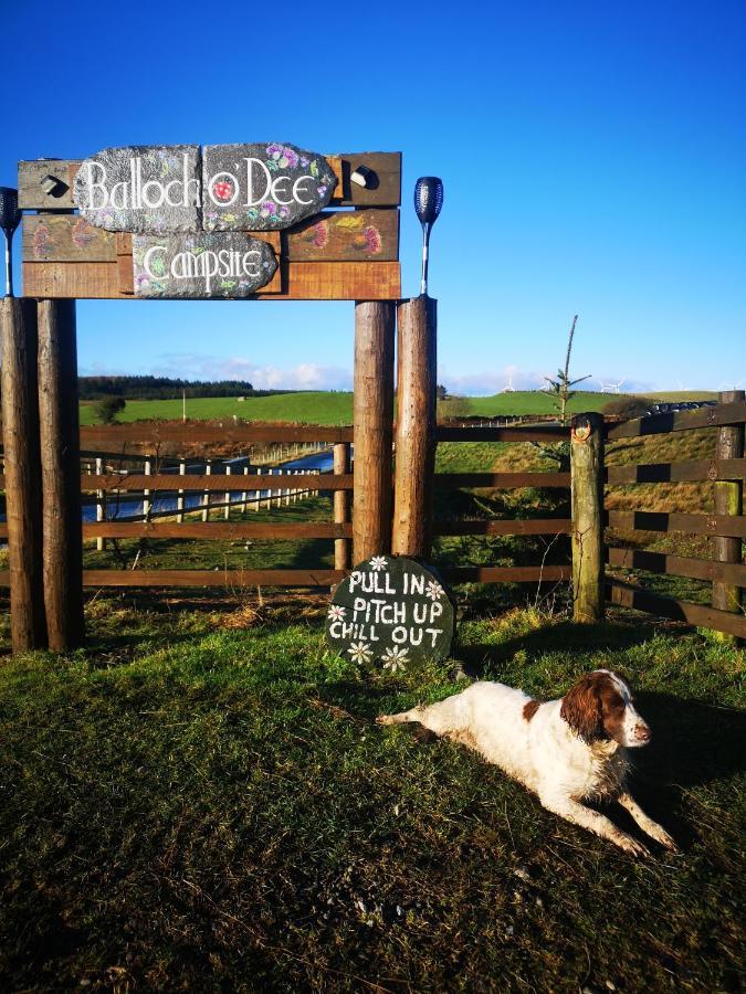 Bluebell Off-Grid Van Newton Stewart Dış mekan fotoğraf